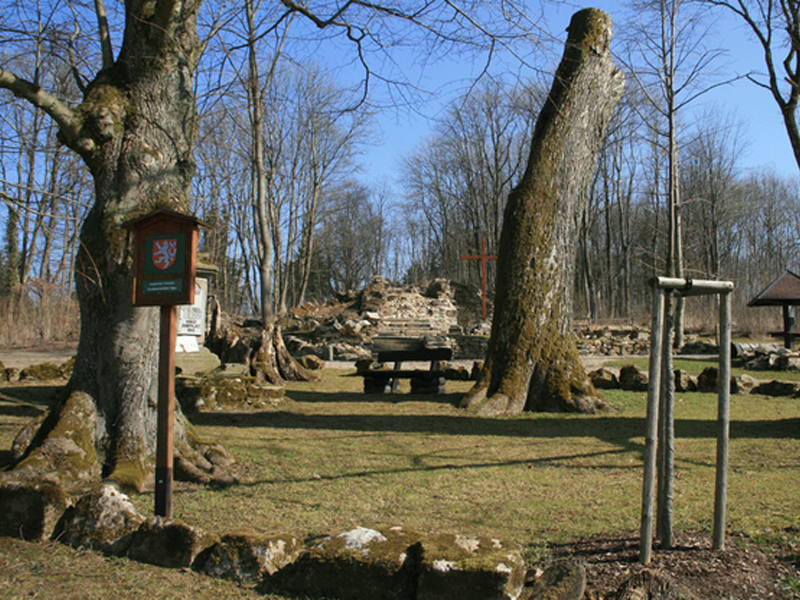 Waldmünchen - Verschwundenes Dorf Grafenried Aus . Region Bayerischer ...